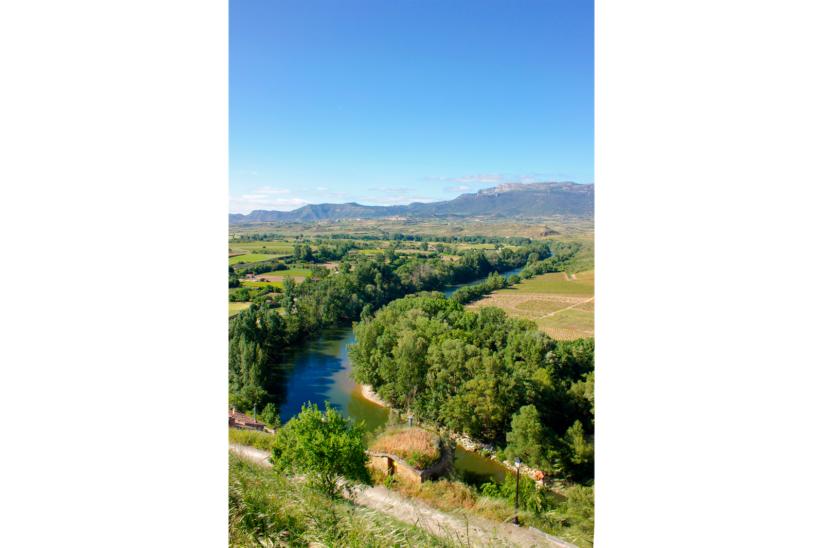 Río Ebro, Briones