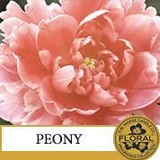 Peony