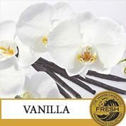 Vanilla